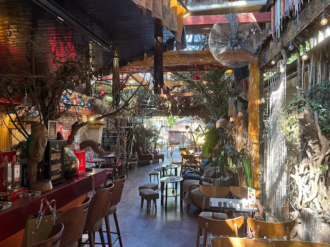 raki tasting tirana albania day tour experience drink bar coffee