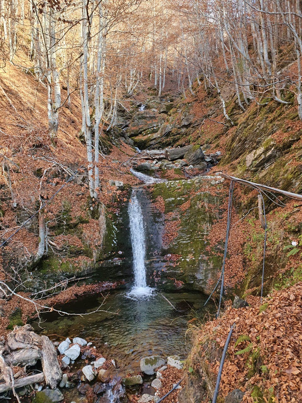 lepushe hiking albania mountain hiking adventure travel agency day tour theth valbone forest