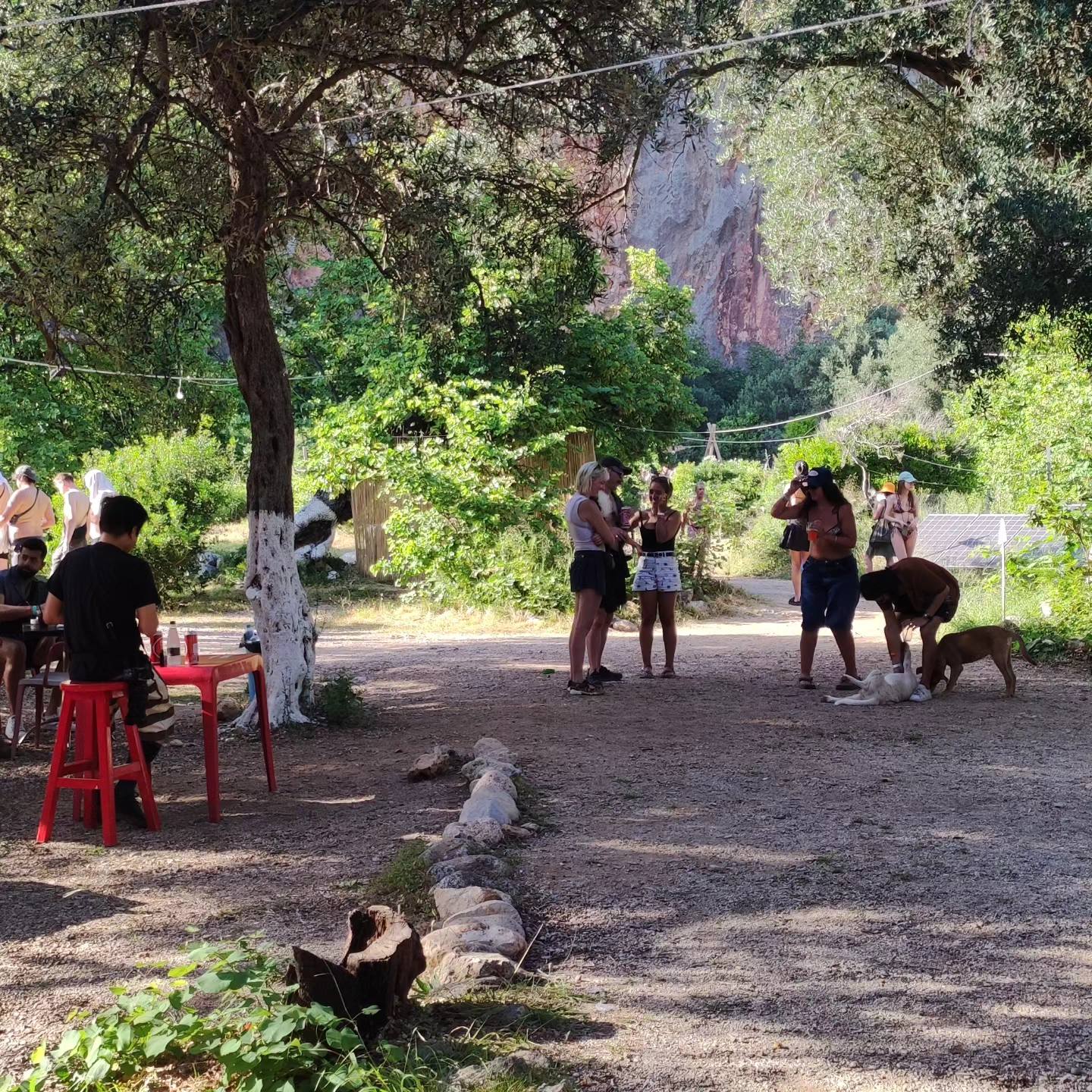 camping gjipe summer south albania beach sea tourism fun relax friends