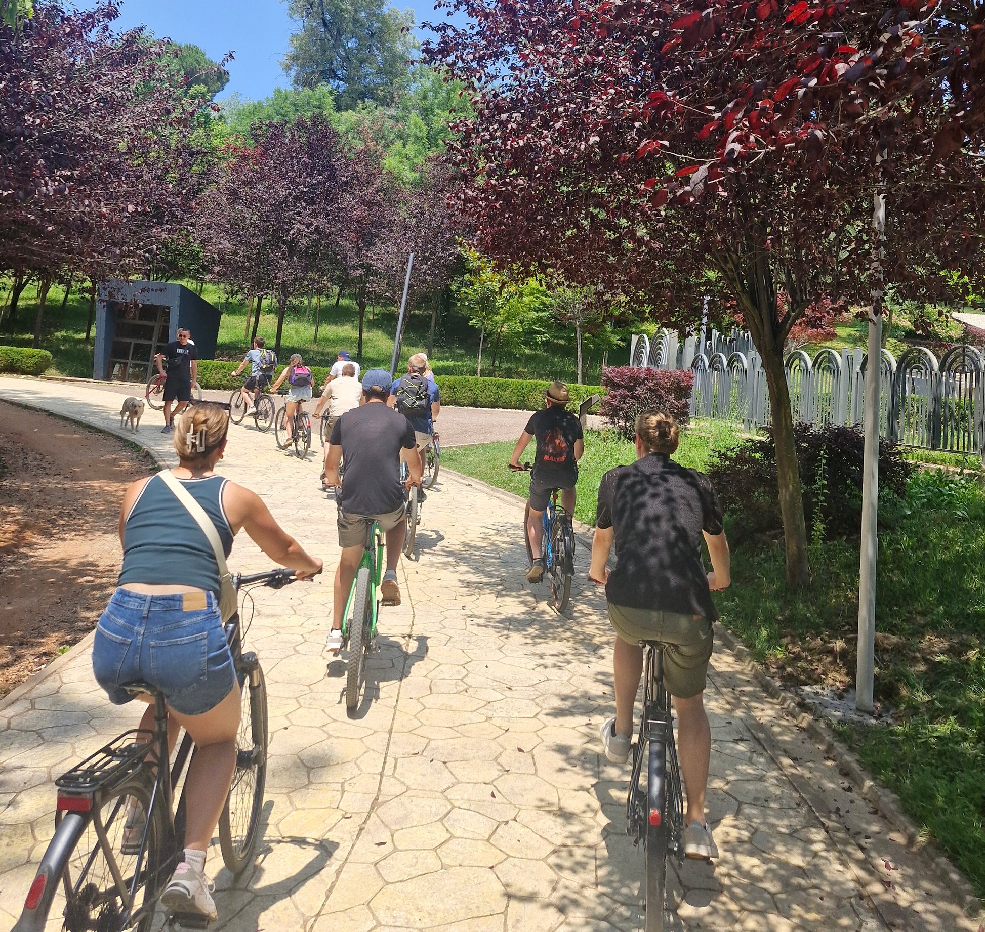 tirana city tour bike lake park